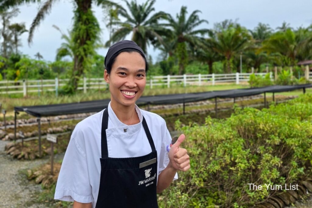 Chef Pad Taking Us On A Garden Tour