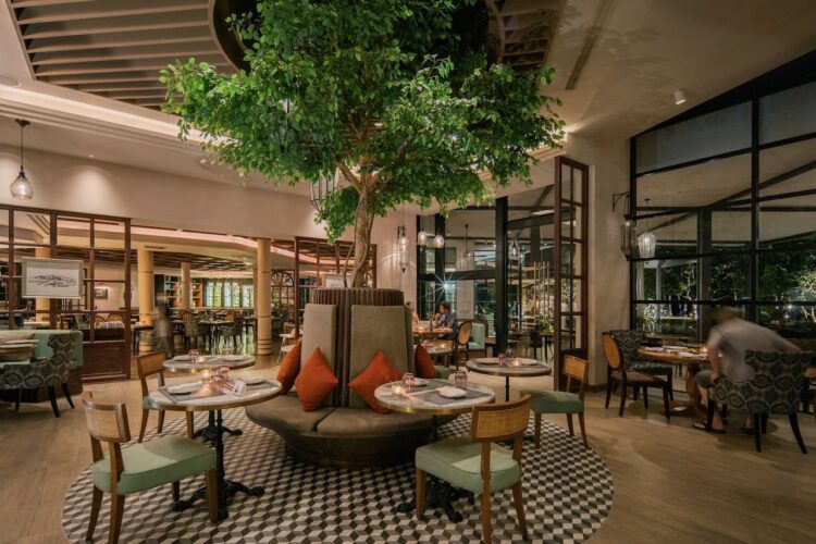 Olive Italian Restaurant JW Khao Lak