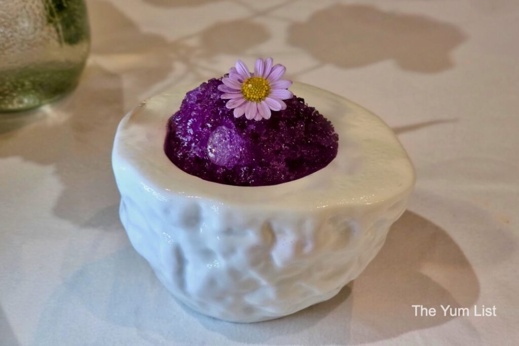 plant-based food Granita