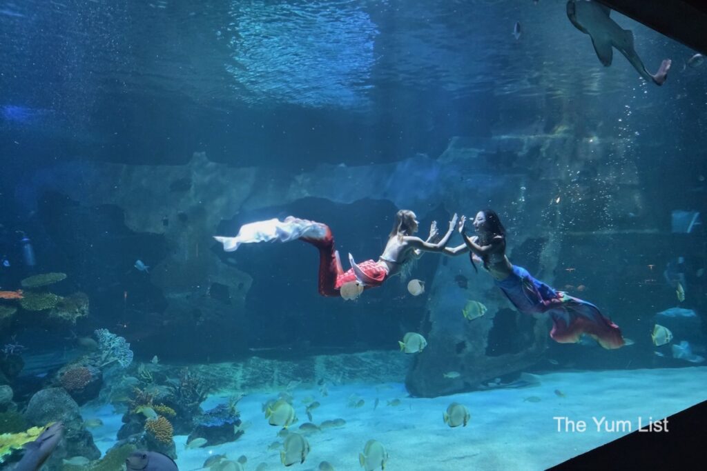 Mermaid Show
