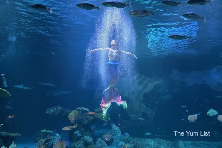 Mermaid Show Su Va Na Phuket
