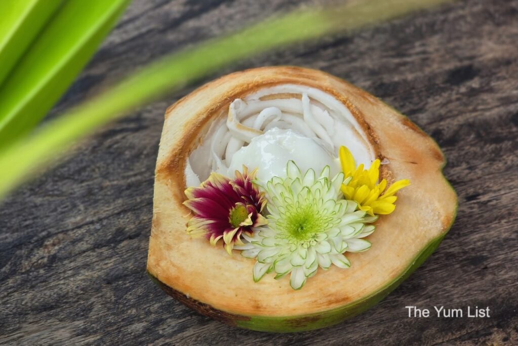 Homemade Coconut Ice Cream