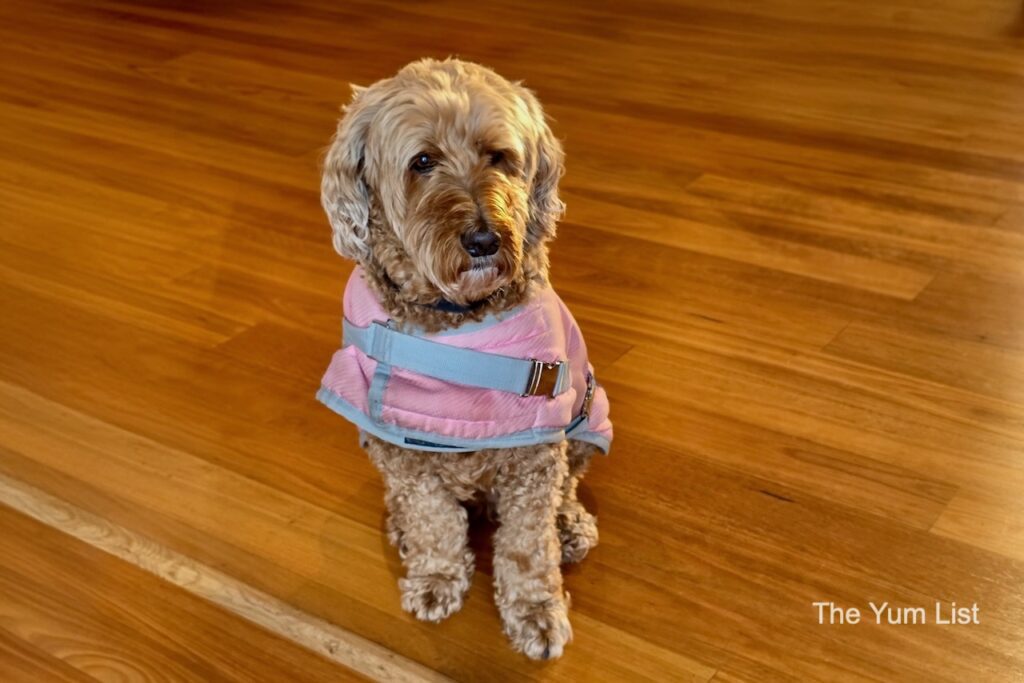 Shiloh, Chimes Spa Retreat's Best Concierge