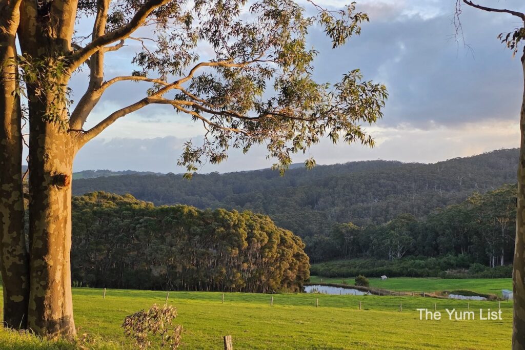 The Beautiful Scenery on Our Doorstep at Chimes Spa Retreat