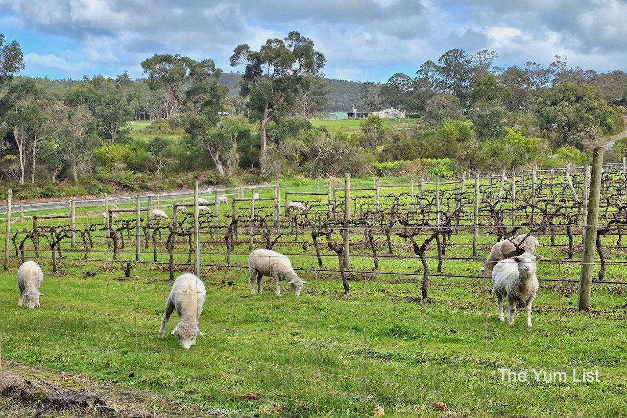 Duckett's Mill Vineyards & Denmark Farmhouse Cheese