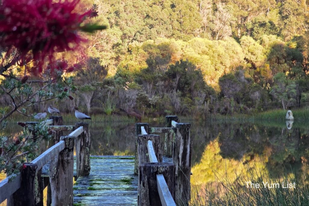One of Two Dams on the Property