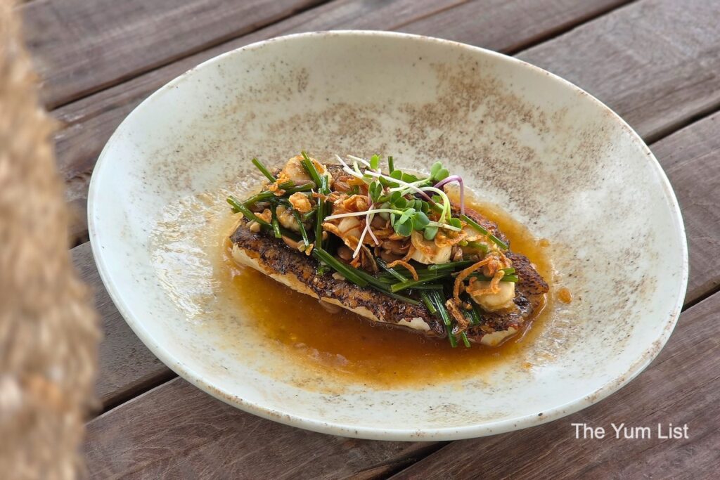 Grilled Grouper Filet