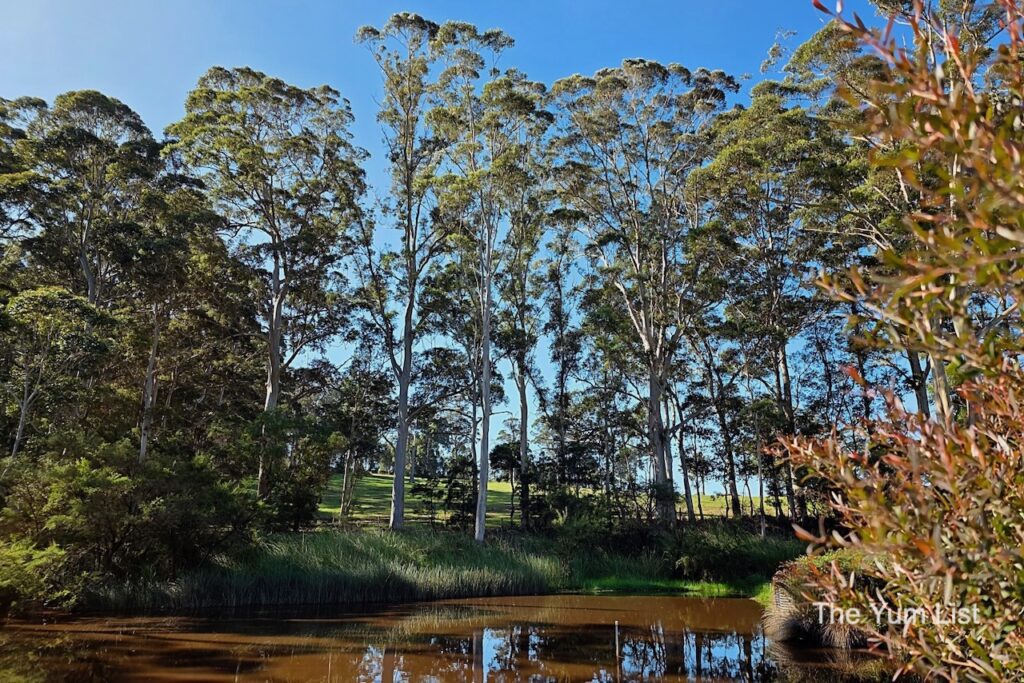Singlefile Wines, Denmark, WA
