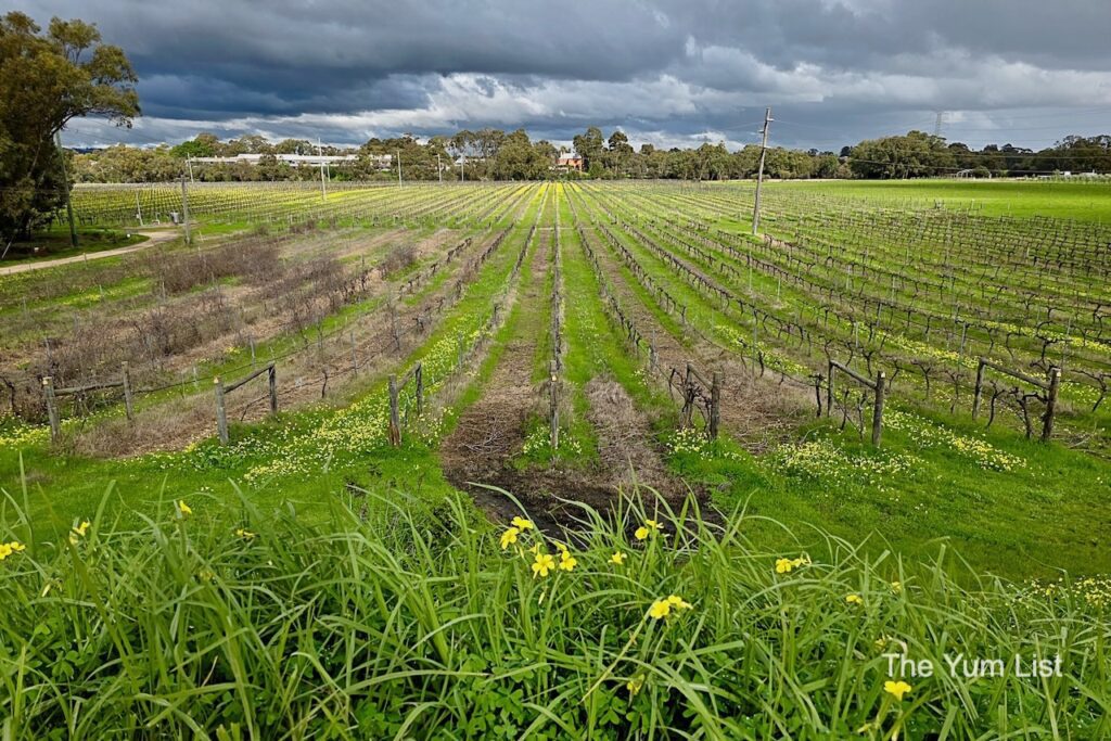 Vineyards