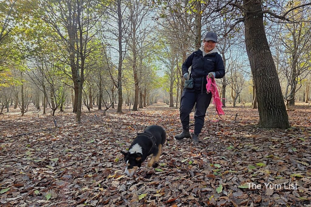 Canine Companions Are Essential in Finding the Goods