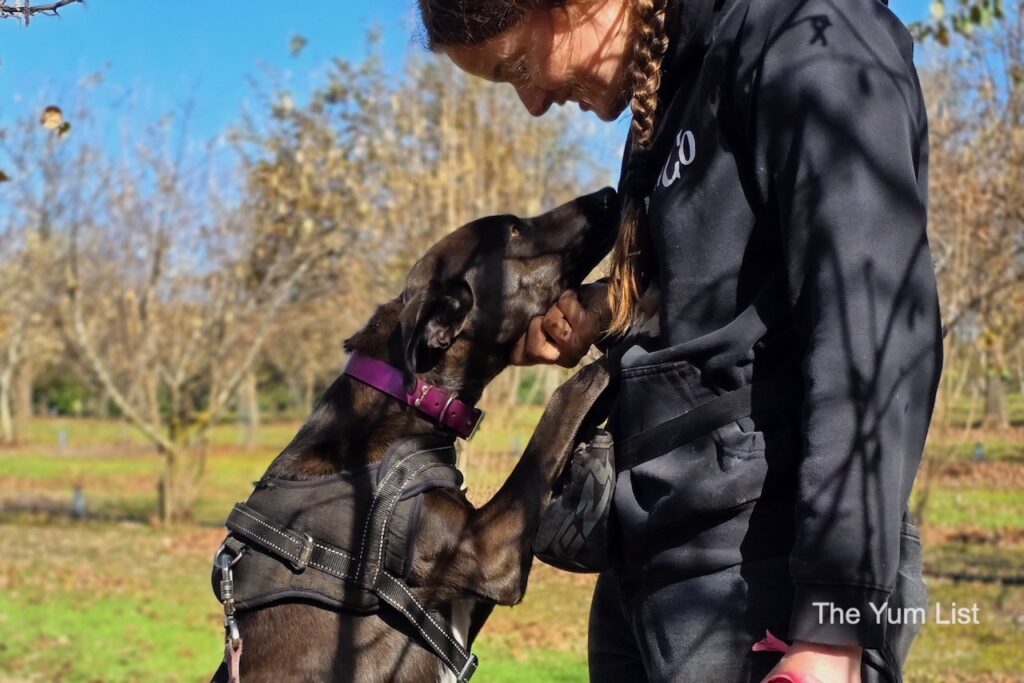 Treats & Chin Rubs Are Welcome Rewards for a Successful Hunt