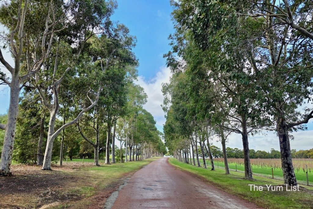 Tree-lined Driveway Entrance